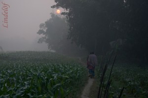 dimma to market DSC_0194