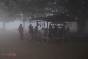 teastore dimma DSC_0436