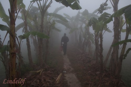 till jobbet dimma DSC_0430